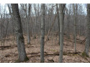 0 Wildwood Lane - Lot 4, Fairchild, WI 54741