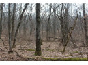 0 Wildwood Lane - Lot 4, Fairchild, WI 54741