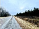 +/- 10 ACRES Hamm Drive, Owen, WI 54460