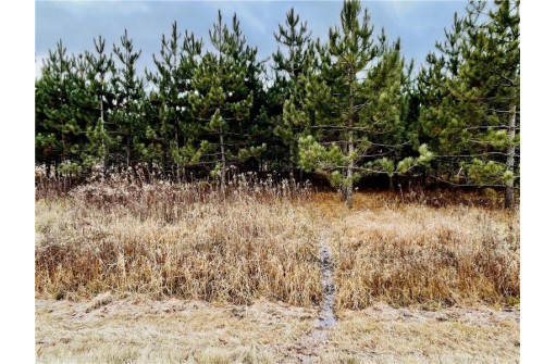 +/- 10 ACRES Hamm Drive, Owen, WI 54460