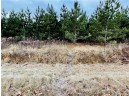 +/- 10 ACRES Hamm Drive, Owen, WI 54460