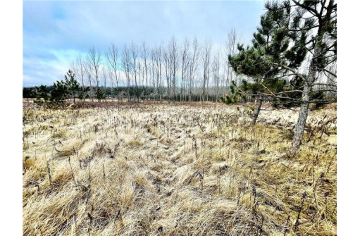 +/- 10 ACRES Hamm Drive, Owen, WI 54460