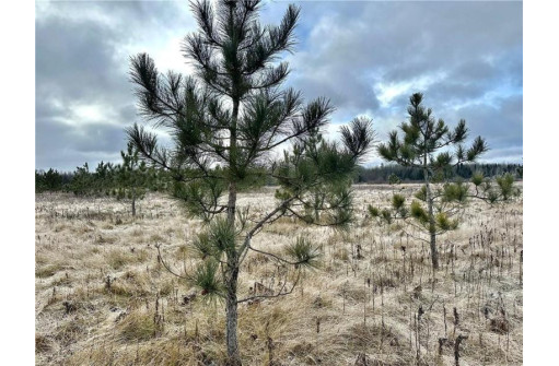 +/- 10 ACRES Hamm Drive, Owen, WI 54460