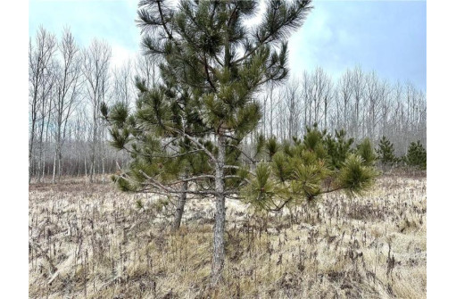 +/- 10 ACRES Hamm Drive, Owen, WI 54460