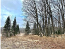 +/- 50.2 ACRES Hamm Drive, Owen, WI 54460