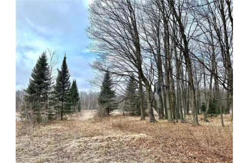 +/- 50.2 ACRES Hamm Drive, Owen, WI 54460