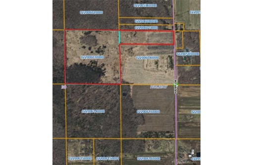 +/- 50.2 ACRES Hamm Drive, Owen, WI 54460