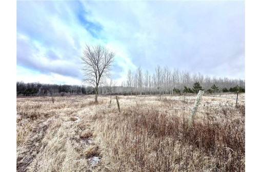 +/- 50.2 ACRES Hamm Drive, Owen, WI 54460