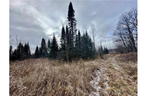 +/- 50.2 ACRES Hamm Drive, Owen, WI 54460