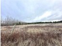 +/- 50.2 ACRES Hamm Drive, Owen, WI 54460