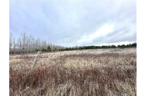 +/- 50.2 ACRES Hamm Drive, Owen, WI 54460