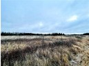 +/- 50.2 ACRES Hamm Drive, Owen, WI 54460