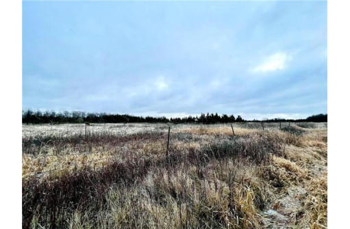 +/- 50.2 ACRES Hamm Drive, Owen, WI 54460