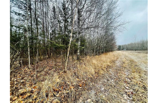 +/- 50.2 ACRES Hamm Drive, Owen, WI 54460