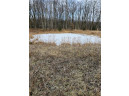 +/- 50.2 ACRES Hamm Drive, Owen, WI 54460