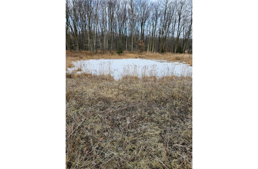 +/- 50.2 ACRES Hamm Drive, Owen, WI 54460