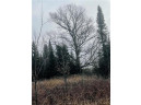 +/- 50.2 ACRES Hamm Drive, Owen, WI 54460