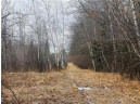 +/- 50.2 ACRES Hamm Drive, Owen, WI 54460