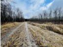 +/- 50.2 ACRES Hamm Drive, Owen, WI 54460