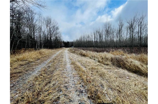 +/- 50.2 ACRES Hamm Drive, Owen, WI 54460