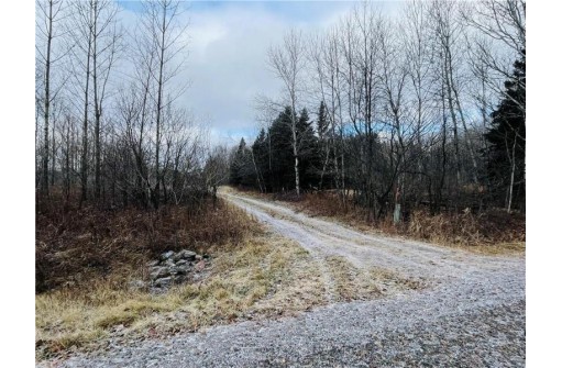 +/- 50.2 ACRES Hamm Drive, Owen, WI 54460