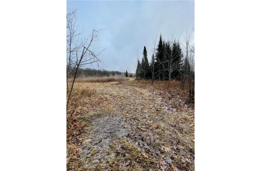 +/- 50.2 ACRES Hamm Drive, Owen, WI 54460