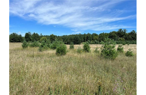 LOT 3 Todd Road, Sarona, WI 54870