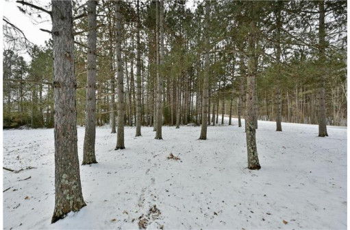 LOT 1 Linden Road, Hayward, WI 54843