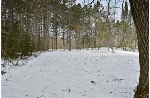 LOT 1 Linden Road, Hayward, WI 54843