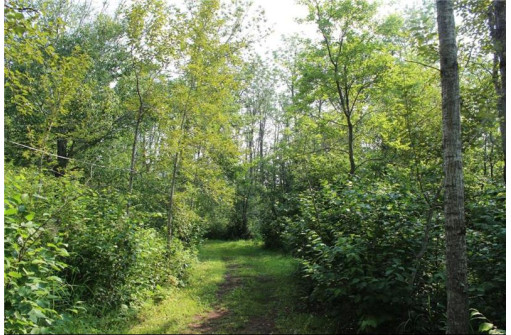 7885 LOT 1 East Camp Amnicon Road, South Range, WI 54874