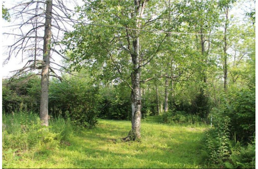 7885 LOT 1 East Camp Amnicon Road, South Range, WI 54874