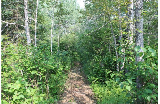 7885 LOT 1 East Camp Amnicon Road, South Range, WI 54874