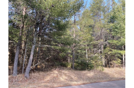 LOT 7 Riverside Road, Cable, WI 54821