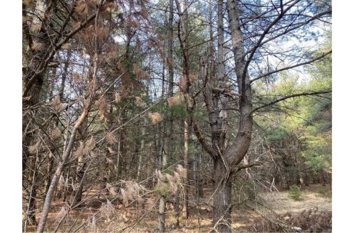 LOT 7 Riverside Road, Cable, WI 54821