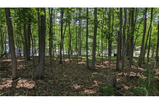 LOT 3 175th Ave, Bloomer, WI 54724