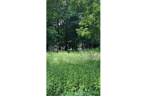 LOT 3 175th Ave, Bloomer, WI 54724