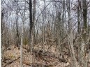 LOT 12 Sixth Avenue, Danbury, WI 54830