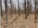 LOT 12 Sixth Avenue, Danbury, WI 54830