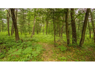 LOT 53 Perth Drive Eau Claire, WI 54703