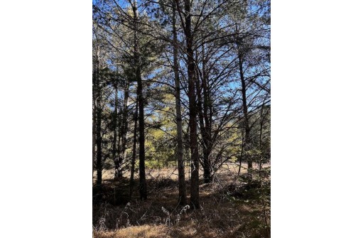 LOT 8 N Riverside Road, Cable, WI 54821