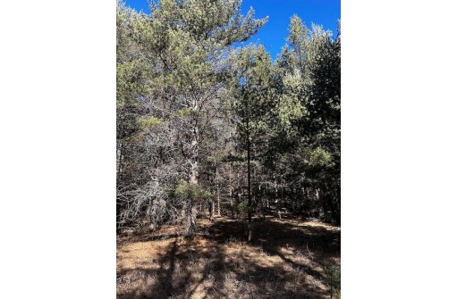 LOT 8 N Riverside Road, Cable, WI 54821