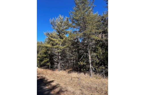 LOT 8 N Riverside Road, Cable, WI 54821