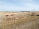 3.93 ACRES County Hwy G, Stanley, WI 54768