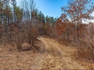 XXX 20 Acres Tranus Lake Road