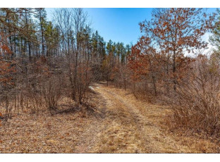 XXX 20 Acres Tranus Lake Road Springbrook, WI 54875