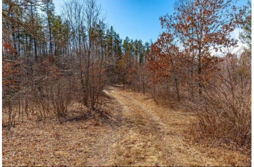 XXX 20 Acres Tranus Lake Road, Springbrook, WI 54875