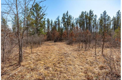 XXX 20 Acres Tranus Lake Road, Springbrook, WI 54875