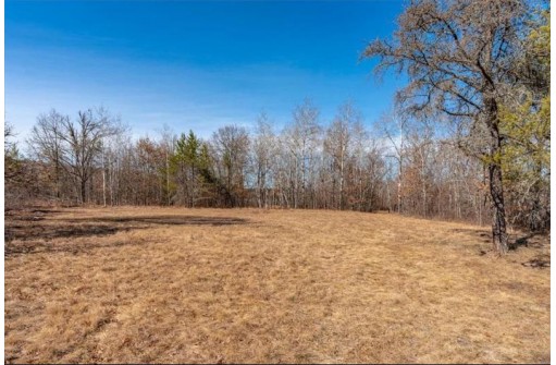 XXX 20 Acres Tranus Lake Road, Springbrook, WI 54875