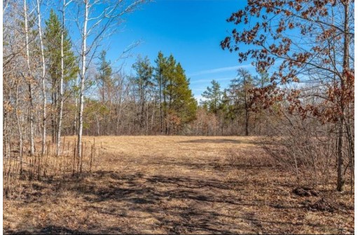 XXX 20 Acres Tranus Lake Road, Springbrook, WI 54875