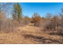 XXX 20 Acres Tranus Lake Road, Springbrook, WI 54875